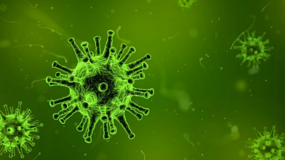 Coronavirus